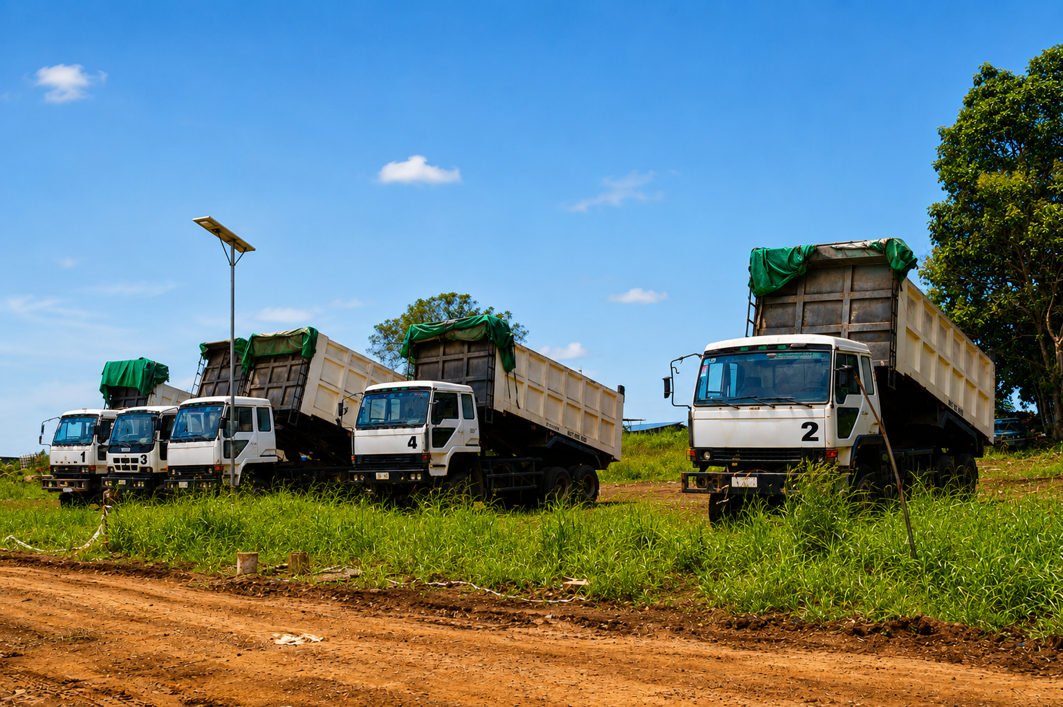 Isuzu and Fuso Dump Trucks